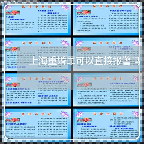 上海重婚罪可以直接报警吗/2023031802926