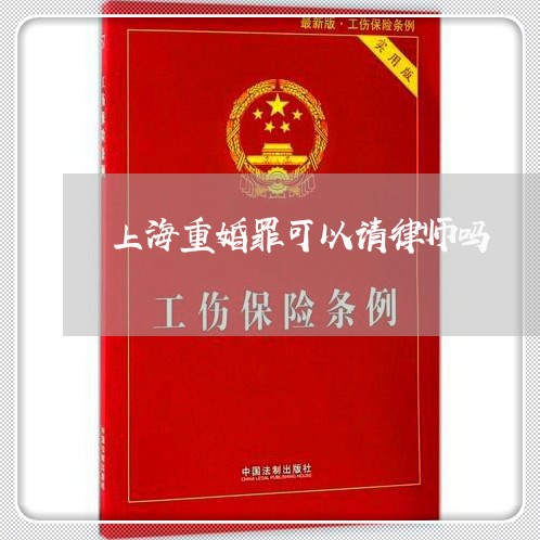 上海重婚罪可以请律师吗/2023041076848