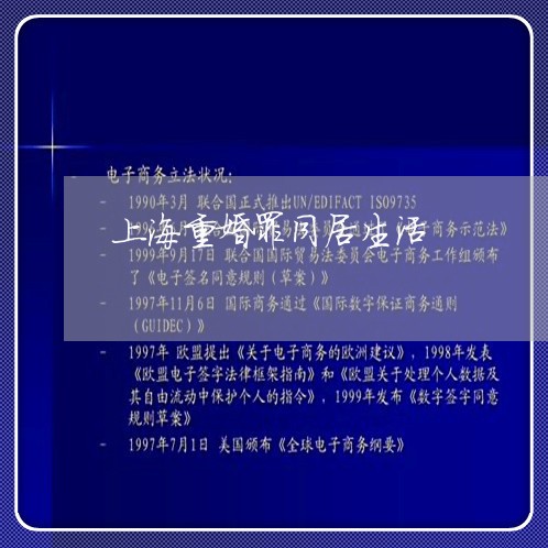 上海重婚罪同居生活/2023032462482
