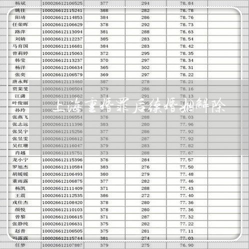 上海重婚罪后续婚姻解除/2023041085819