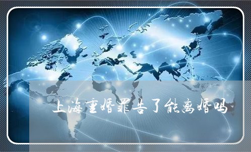 上海重婚罪告了能离婚吗/2023041095936