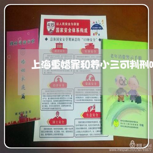 上海重婚罪和养小三可判刑吗/2023032183938 上海重婚罪和养小三可判刑吗/2023032183938