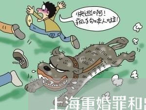 上海重婚罪和出轨有什么不同/2023032123050 上海重婚罪和出轨有什么不同/2023032123050