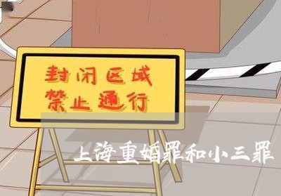 上海重婚罪和小三罪/2023032471513 上海重婚罪和小三罪/2023032471513