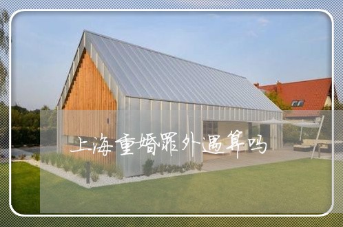 上海重婚罪外遇算吗/2023032414939 上海重婚罪外遇算吗/2023032414939