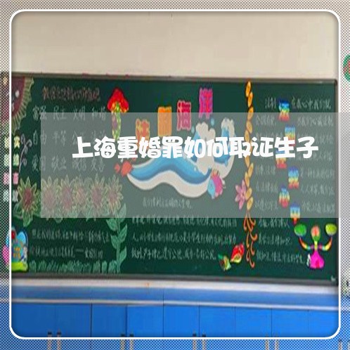 上海重婚罪如何取证生子/2023021514895 上海重婚罪如何取证生子/2023021514895