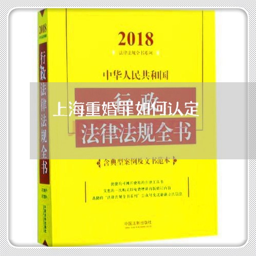 上海重婚罪如何认定/2023032405915