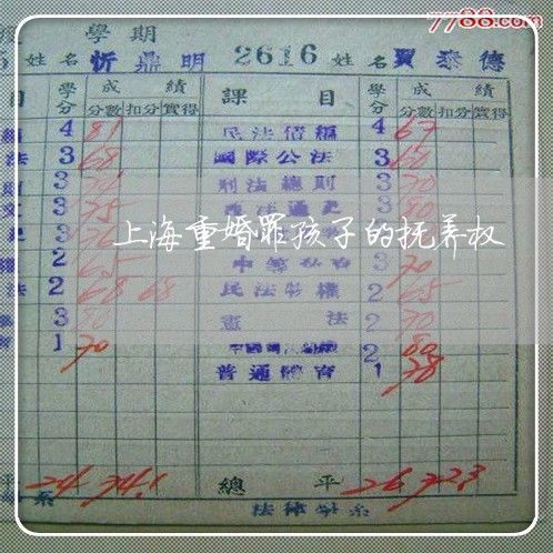 上海重婚罪孩子的抚养权/2023041095716 上海重婚罪孩子的抚养权/2023041095716