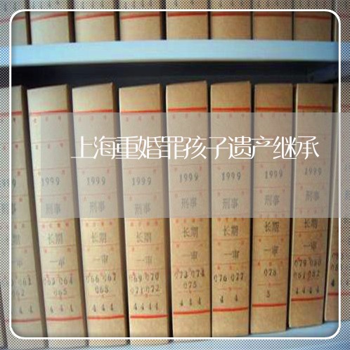 上海重婚罪孩子遗产继承/2023021586917