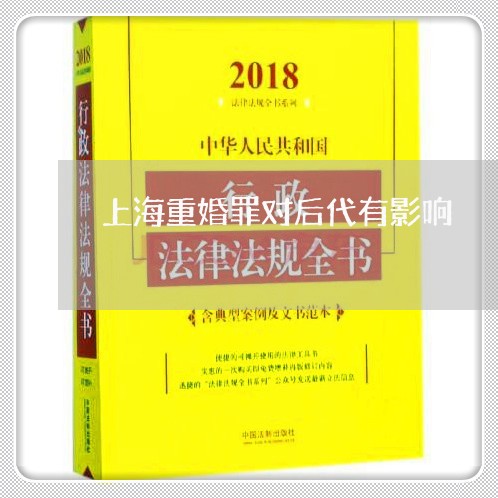 上海重婚罪对后代有影响/2023041081616