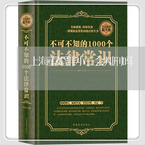 上海重婚罪小三会判刑吗/2023021581483 上海重婚罪小三会判刑吗/2023021581483