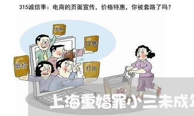 上海重婚罪小三未成年会判刑吗/2023041592806