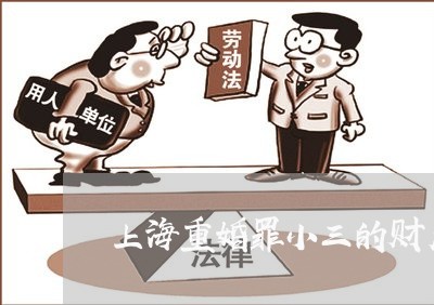 上海重婚罪小三的财产如何分/2023032162584