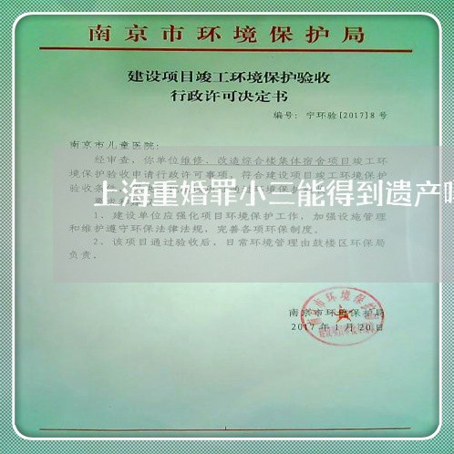 上海重婚罪小三能得到遗产吗/2023032139350