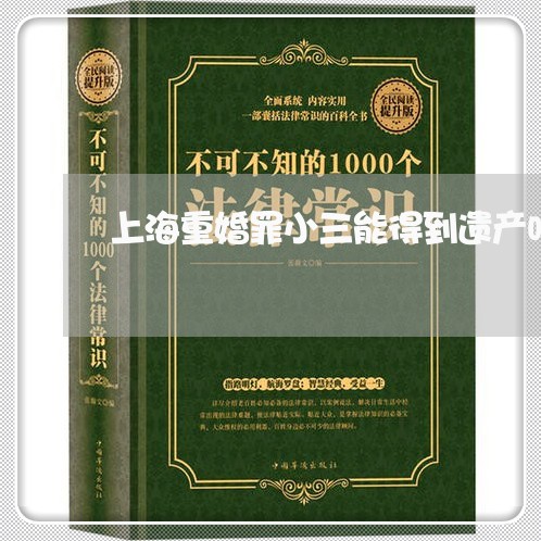 上海重婚罪小三能得到遗产吗/2023032193836