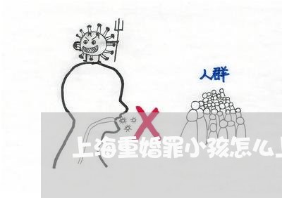 上海重婚罪小孩怎么上户/2023041049514