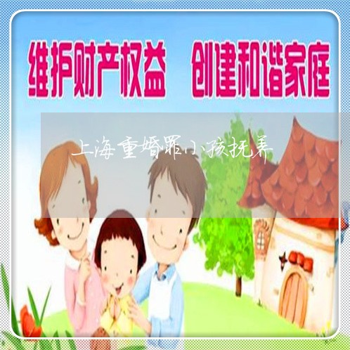 上海重婚罪小孩抚养/2023032461473