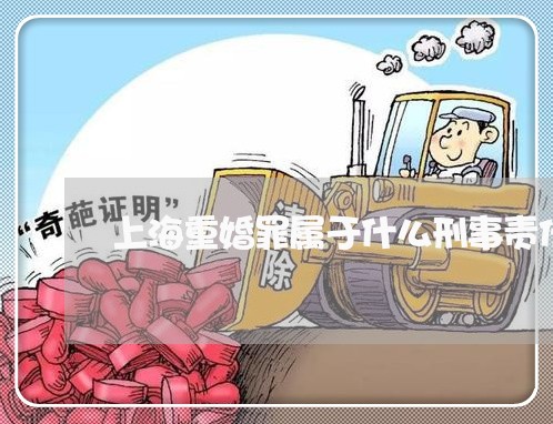 上海重婚罪属于什么刑事责任/2023032147248