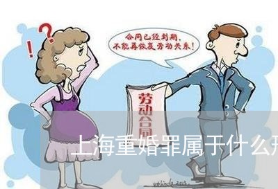 上海重婚罪属于什么刑事责任/2023032169584