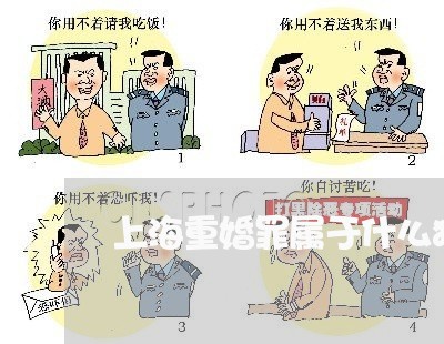 上海重婚罪属于什么犯罪/2023021543836 上海重婚罪属于什么犯罪/2023021543836