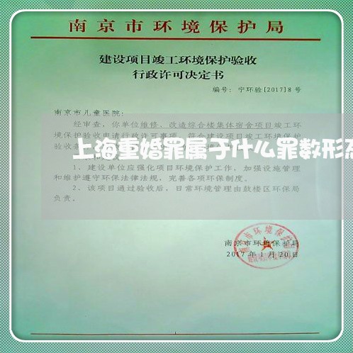 上海重婚罪属于什么罪数形态/2023032186251