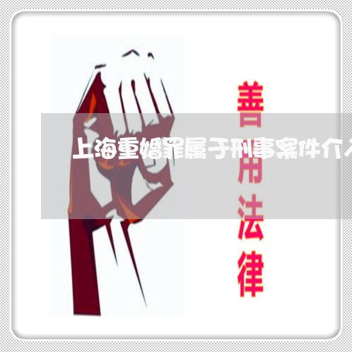 上海重婚罪属于刑事案件介入吗/2023041509384