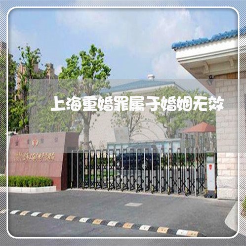 上海重婚罪属于婚姻无效/2023041094045