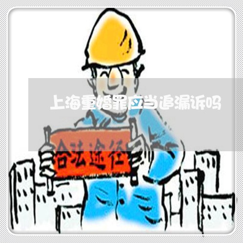上海重婚罪应当追漏诉吗/2023021571513 上海重婚罪应当追漏诉吗/2023021571513