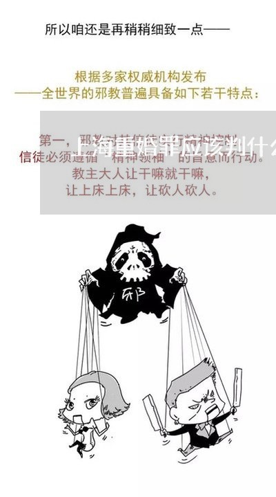 上海重婚罪应该判什么刑/2023041074937