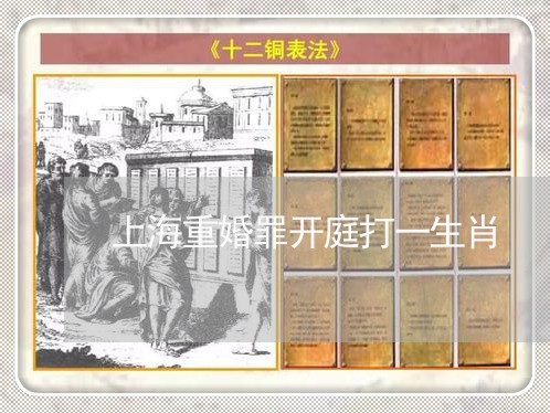 上海重婚罪开庭打一生肖/2023041063615