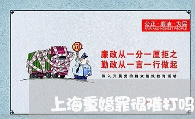 上海重婚罪很难打吗/2023032484948