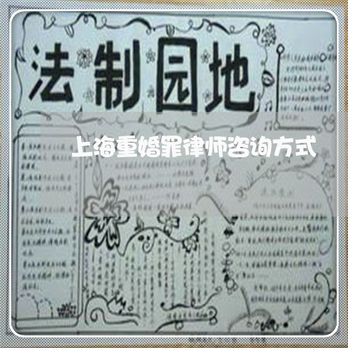上海重婚罪律师咨询方式/2023021556047