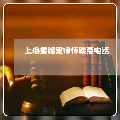 上海重婚罪律师联系电话/2023041090505