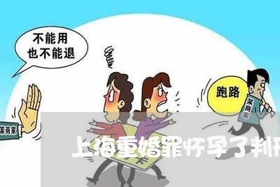 上海重婚罪怀孕了判刑了/2023041055047