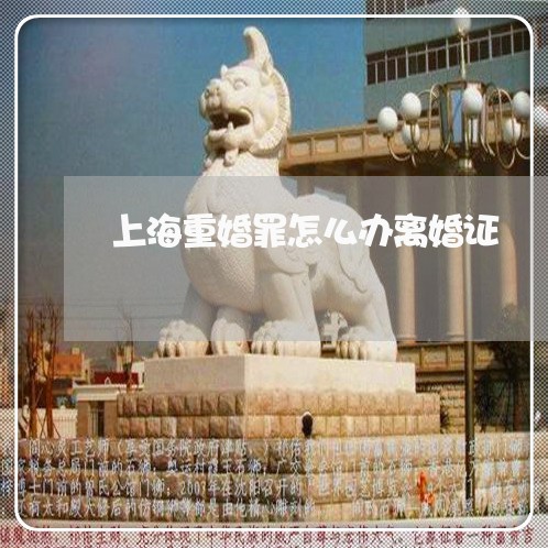 上海重婚罪怎么办离婚证/2023021550403 上海重婚罪怎么办离婚证/2023021550403