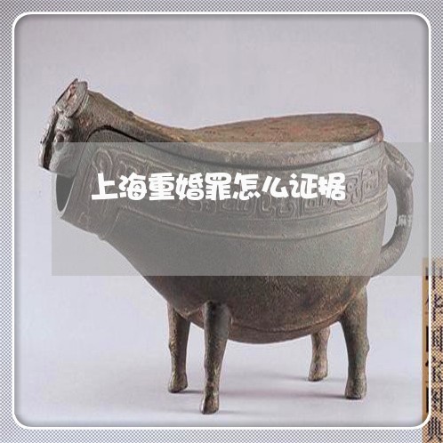 上海重婚罪怎么证据/2023032447159 上海重婚罪怎么证据/2023032447159