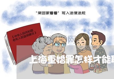 上海重婚罪怎样才能取证/2023041007268