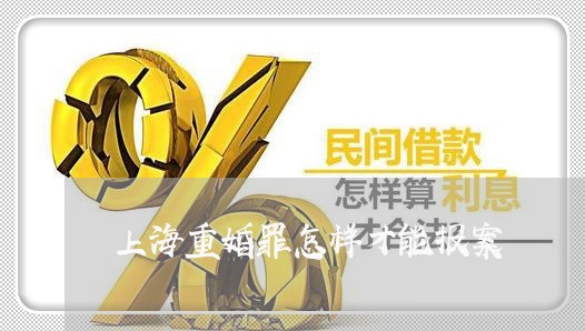 上海重婚罪怎样才能报案/2023041007836