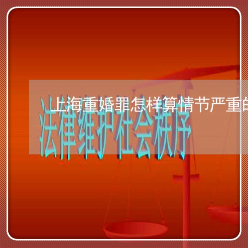 上海重婚罪怎样算情节严重的/2023032126059 上海重婚罪怎样算情节严重的/2023032126059