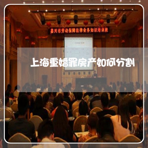 上海重婚罪房产如何分割/2023021584139 上海重婚罪房产如何分割/2023021584139