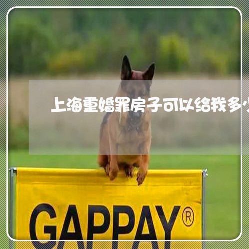 上海重婚罪房子可以给我多少/2023032126959 上海重婚罪房子可以给我多少/2023032126959