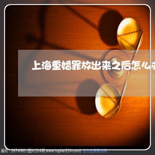上海重婚罪放出来之后怎么办/2023032187847