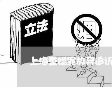 上海重婚罪放弃追诉案例/2023041021702