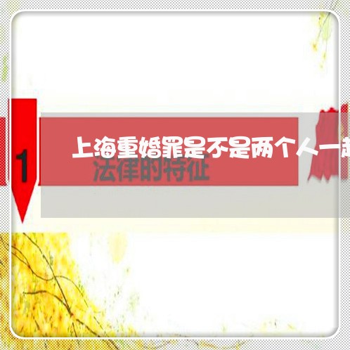 上海重婚罪是不是两个人一起/2023032193816