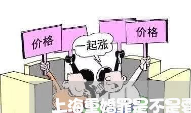 上海重婚罪是不是要自己举报/2023032107958 上海重婚罪是不是要自己举报/2023032107958