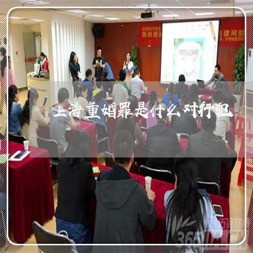 上海重婚罪是什么对行犯/2023021584048 上海重婚罪是什么对行犯/2023021584048