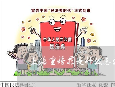 上海重婚罪是什么怎么判/2023041063404