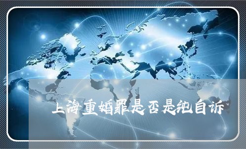 上海重婚罪是否是纯自诉/2023021571492 上海重婚罪是否是纯自诉/2023021571492