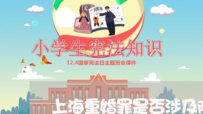 上海重婚罪是否涉及隐私/2023041060714