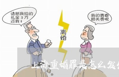 上海重婚罪是怎么发生的/2023021549161